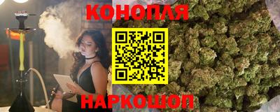 стафф Краснознаменск
