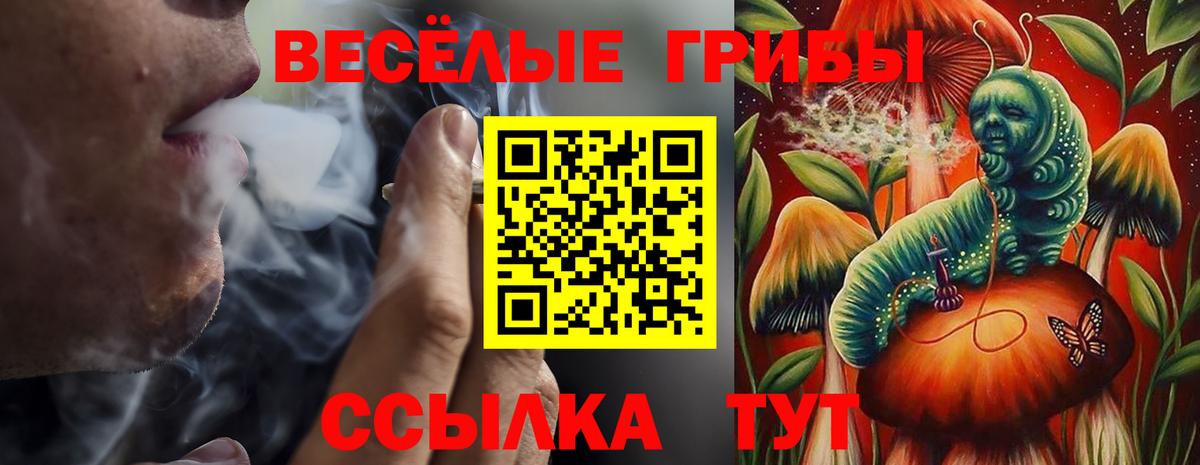 Галлюциногенные грибы Psilocybine cubensis  Вход с VPN  Псилоцибиновые грибы MAGIC MUSHROOMS  Ипатово 
